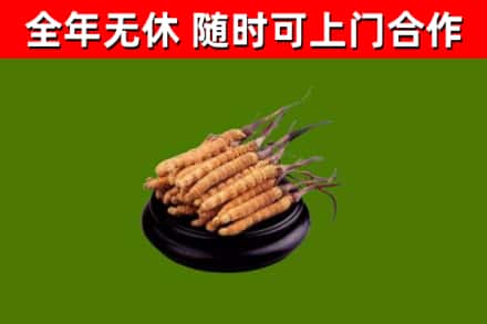 镇远烟酒回收冬虫夏草.jpg
